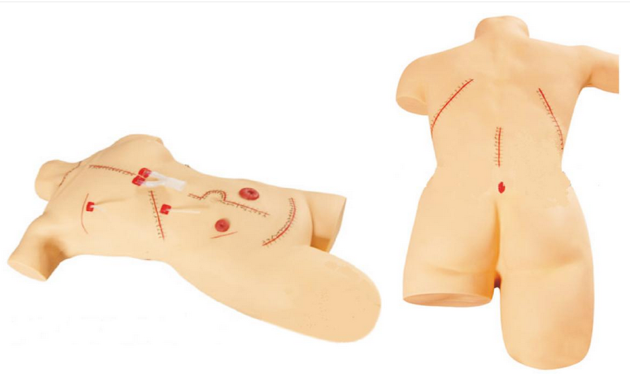 全身缝合包扎展示模型